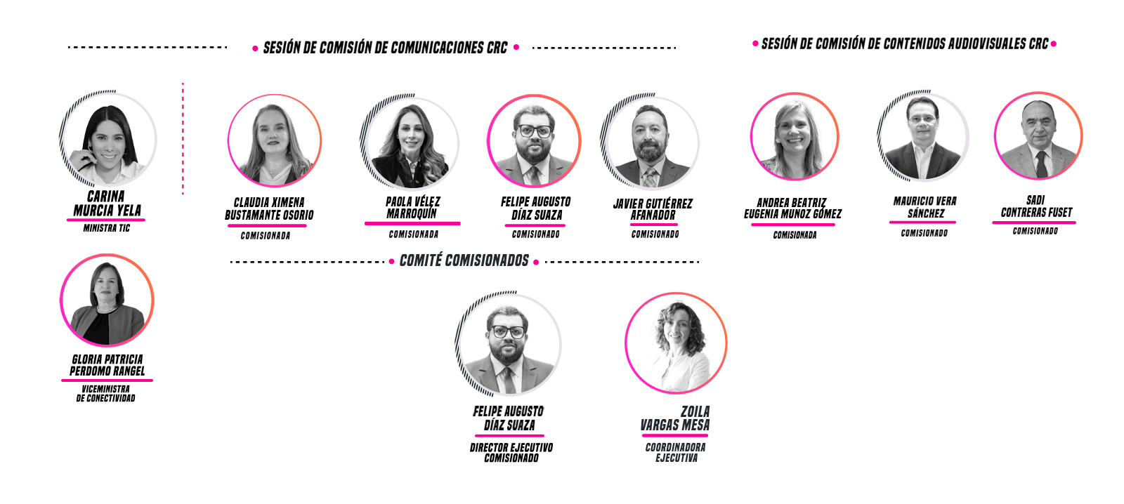 estructura_comisionados_organigrama