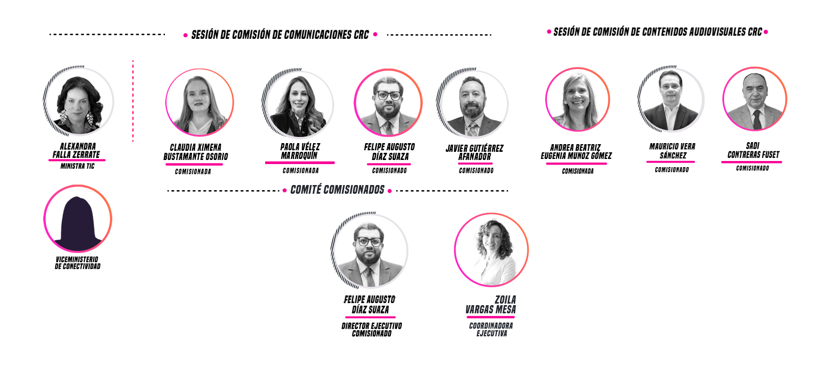 estructura de comisionados