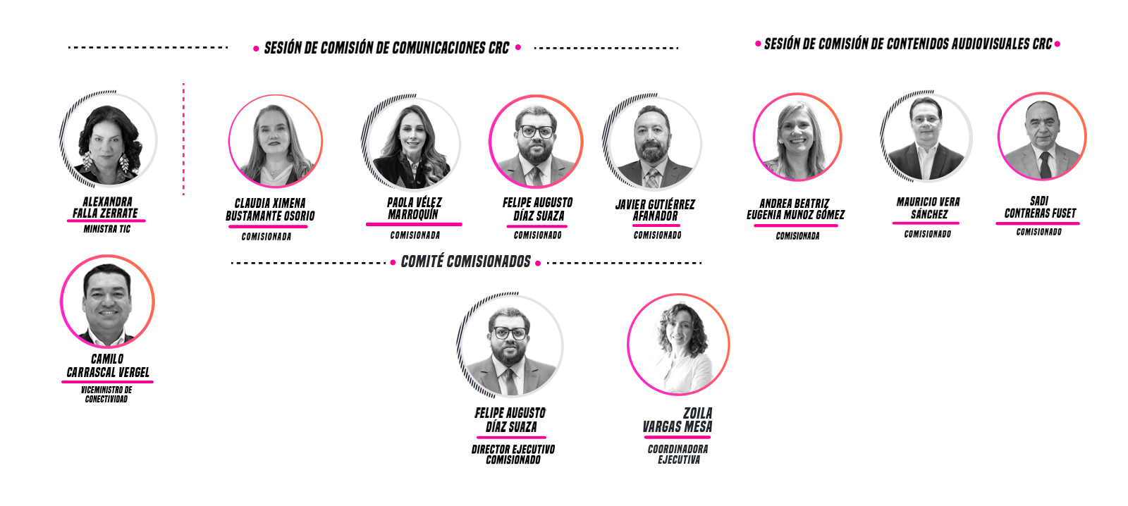 estructura de comisionados