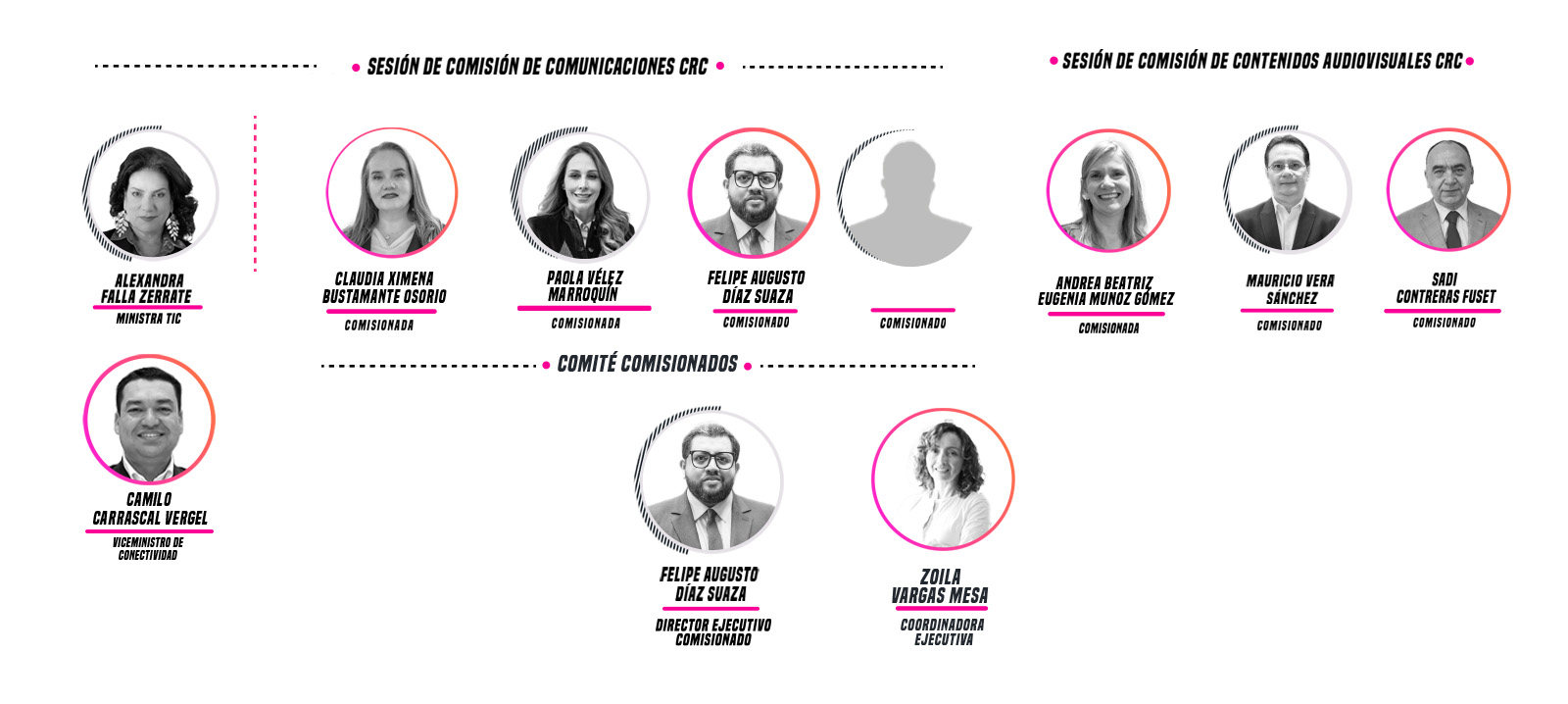 estructura de comisionados
