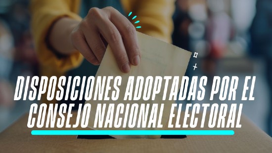 Disposiciones adoptadas por el Consejo Nacional Electoral (2026)