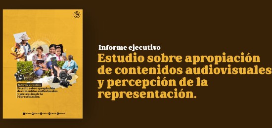¿Cómo se ve representada la población priorizada como sexualmente diversa, rural, en situación de discapacidad, así como niños, niñas y adolescentes en la televisión colombiana?
